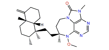 Asmarine F